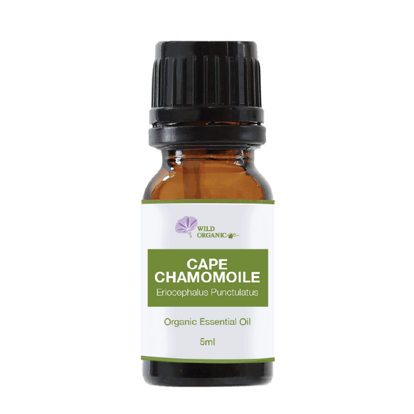 Organic Cape Chamomile Essential Oil