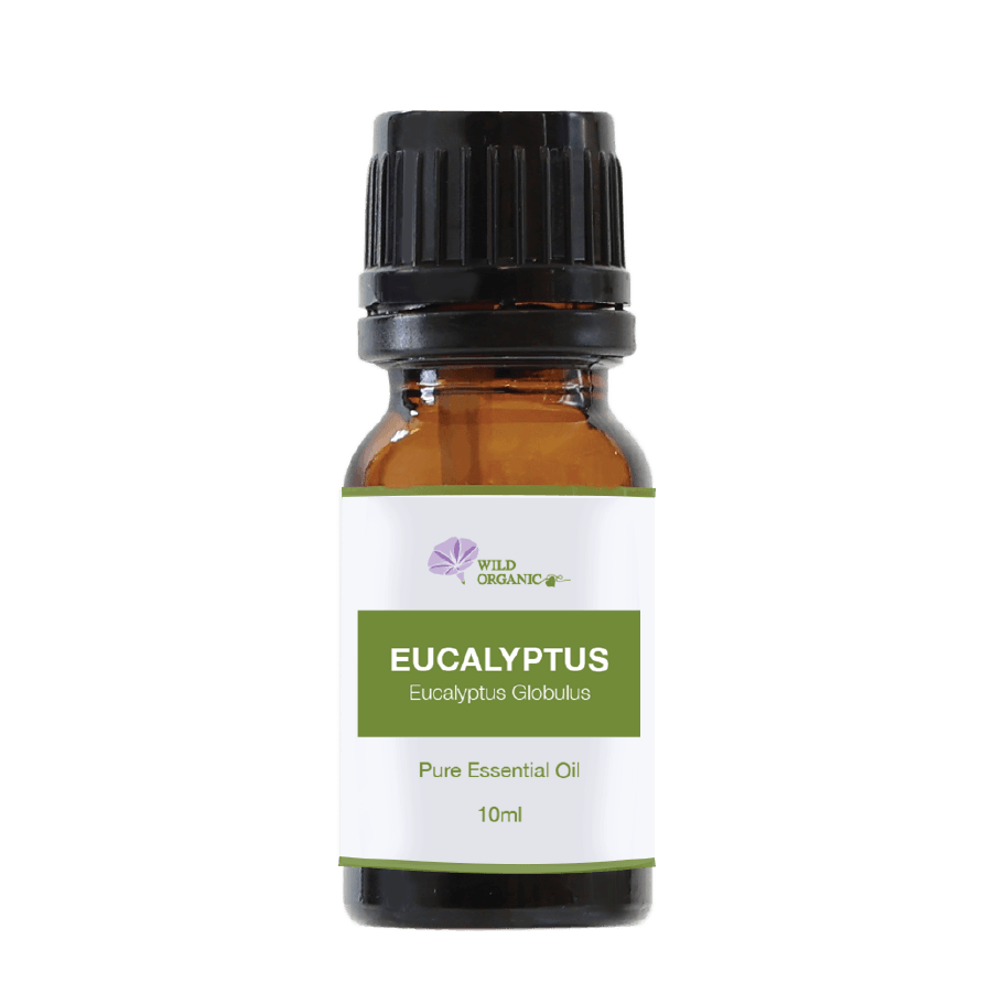 Organic Eucalyptus Globulus Essential Oil