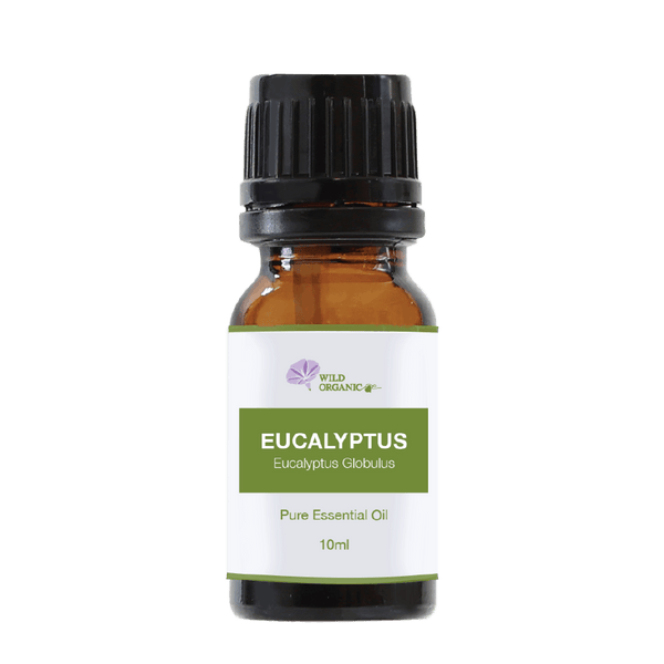 Organic Eucalyptus Globulus Essential Oil