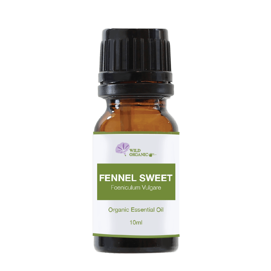 Organic Fennel Sweet Essential Oil