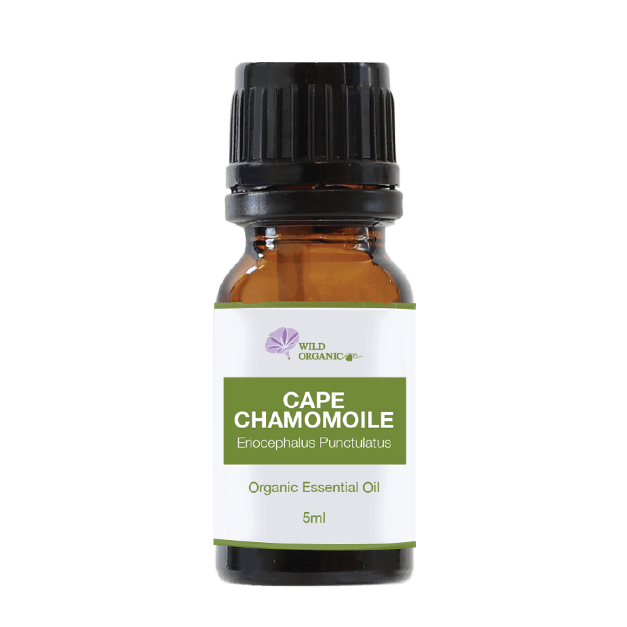 Organic Cape Chamomile Essential Oil