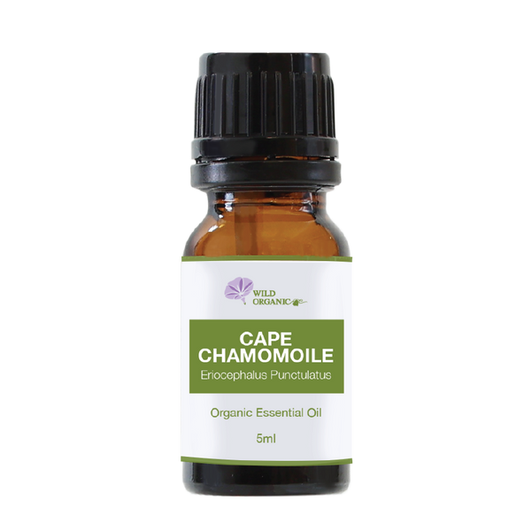 Organic Cape Chamomile Essential Oil